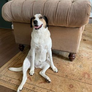 Meet your Posher, Jennifer